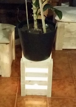 2017-03-13 13.04.41.jpg